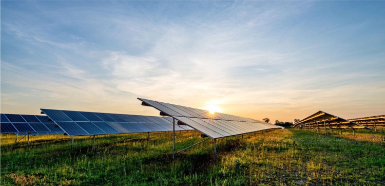 Vantagens da energia solar para o agronegócio
